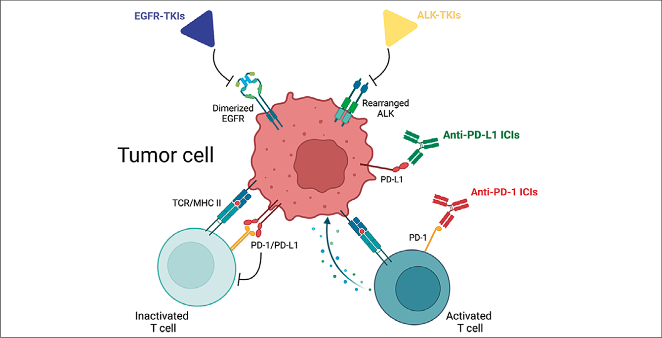 Targeted Therapy And Immunotherapy In Early-stage Non-small Cell Lung ...